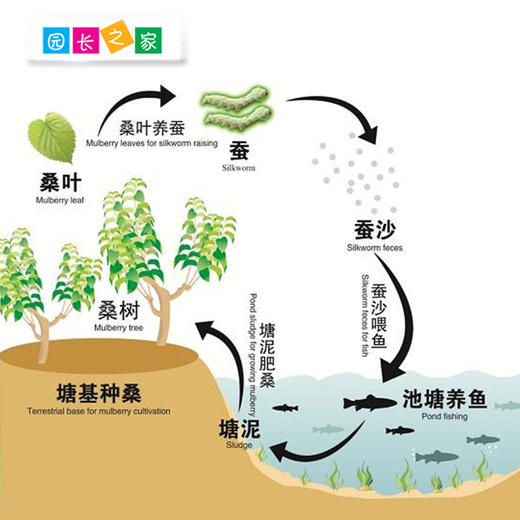 桑基鱼塘整体解决方案 商品图1