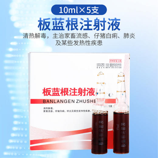 华畜 板蓝根注射液5支 家畜流感 仔猪白痢 肺炎及发热性疾患 商品图0