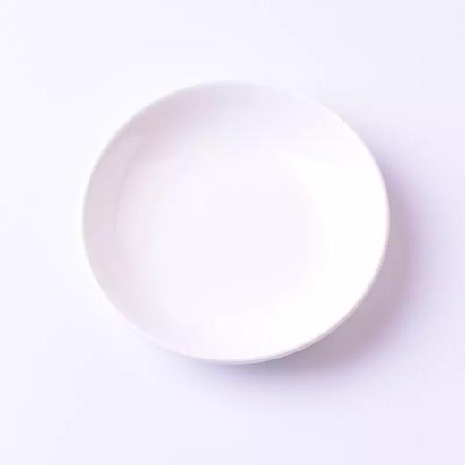 雅书琴颂专用墨碟 商品图1