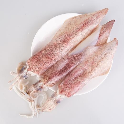 5号母鲜鱿鱼400克 商品图3