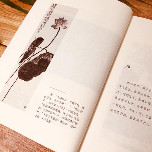 诗境浅说 商品图2