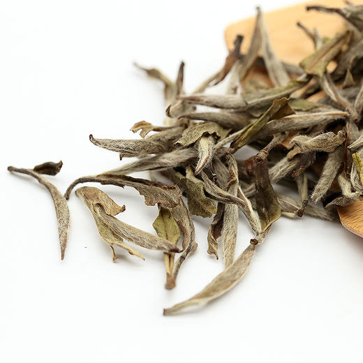 岁岁藏白牡丹50g 福建2015年老白茶 福鼎磻溪高山茶叶