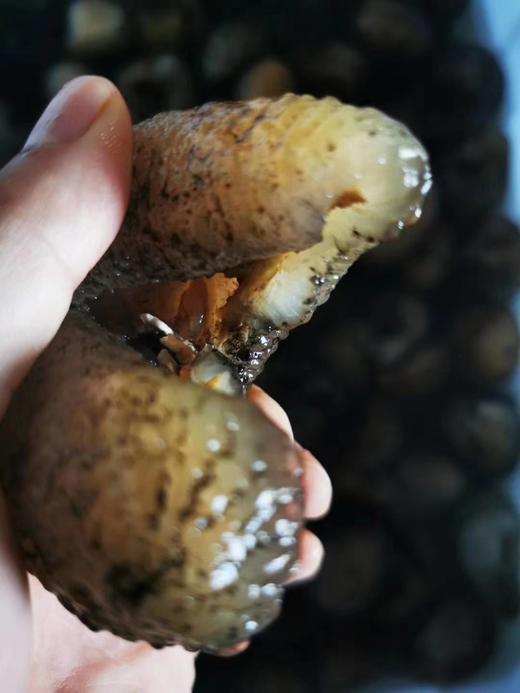 球参1千克/包 商品图1