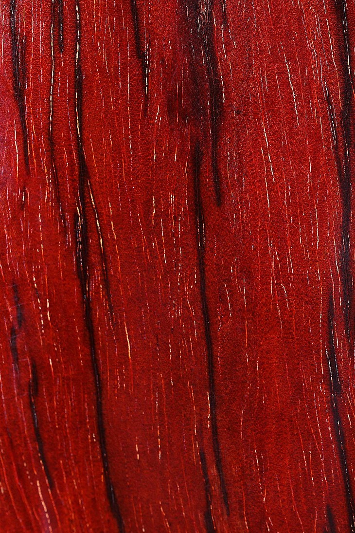 螭龙戏珠小叶紫檀摆件b43