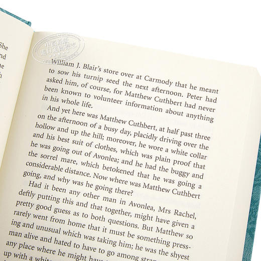 【中商原版】V&A收藏系列 绿山墙的安妮 英文原版 Anne of Green Gables L Montgomery Puffin Classics 蒙哥玛利 商品图3