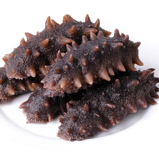 10头即食辽参～50克/个 商品图2