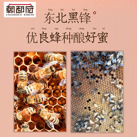 长白山天然椴树雪蜂蜜 商品图5