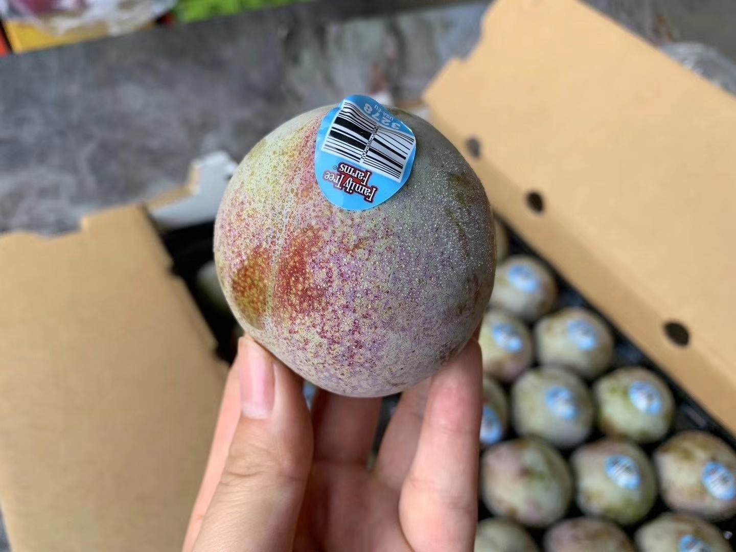 又名蜥蜴蛋,口感爽甜,汁水饱满的一款李李中之王,肉质硬脆,纯甜带李子