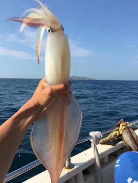 野生大管 8两-1斤左右