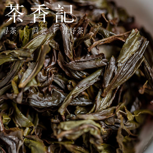 茶香记 黄观音201 狮子峰 正岩山场 小品种茶 香气