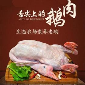 鲜冻大头老鹅4千克