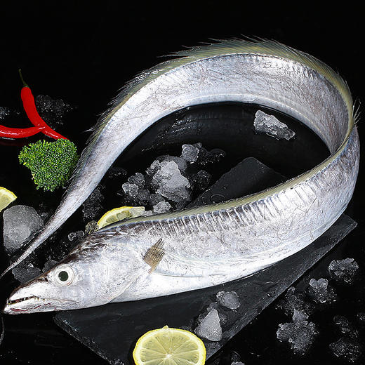 黄金带 商品图1