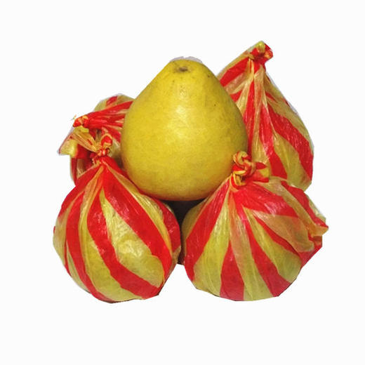 优质雪峰柚（约1.8斤/个） 商品图1