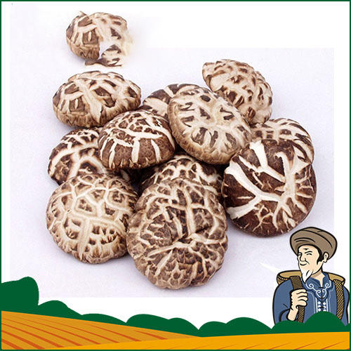 【淘三峡自营】精品香菇干货花菇480g礼盒装 商品图2