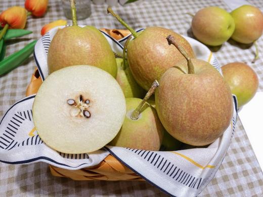 库尔勒香梨 4斤精品装 商品图1