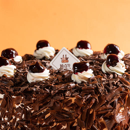 黑森林 商品图2