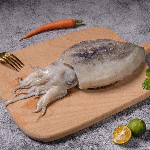 活墨鱼 商品图0