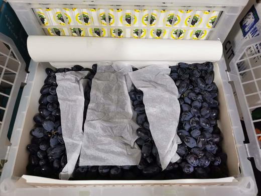 新疆吐鲁番黑无籽 商品图1