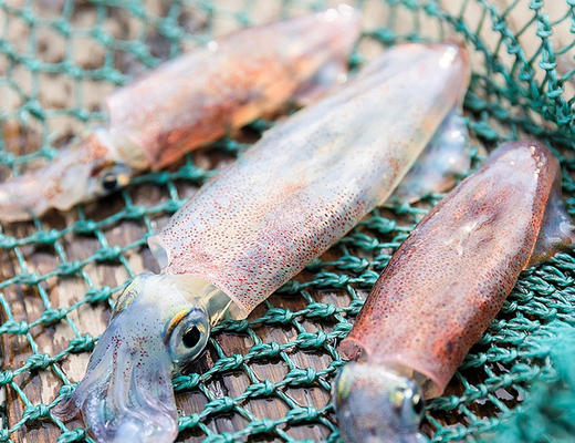 活海南小管 商品图0