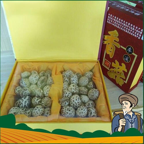 【淘三峡自营】精品香菇干货花菇480g礼盒装 商品图1