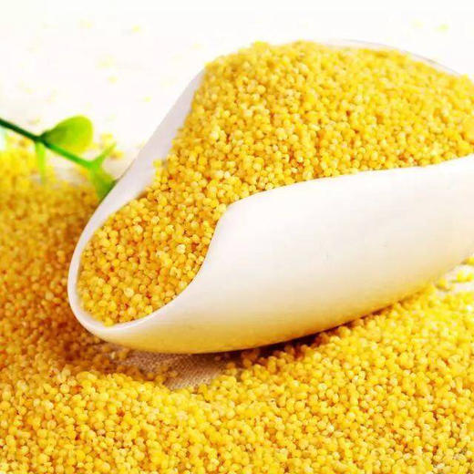 山东沂蒙2022年新米 黄小米、黑小米、三色米、黑糯米、玉米糁和5拼米布袋装，京东快递包邮 商品图1