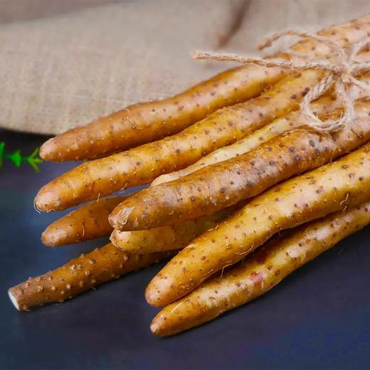 头茬温县垆土铁棍山药，新鲜滋补  香甜面糯  肉质紧密 商品图0