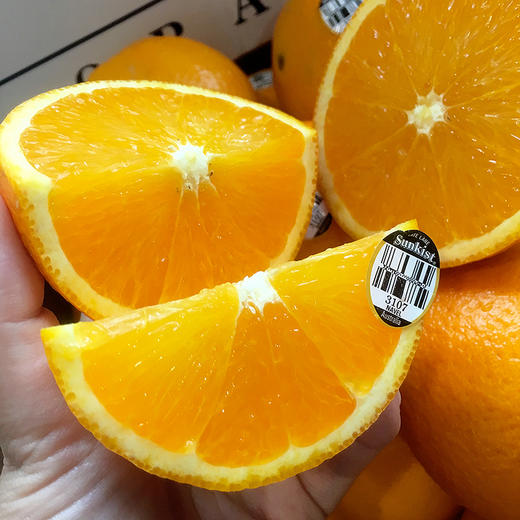 澳洲新奇士3107黑标甜橙 9个装 单果230-250g