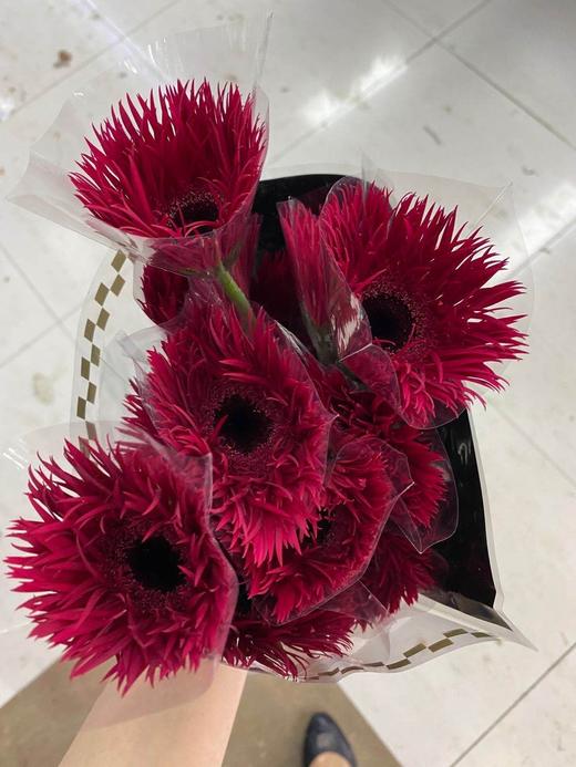 菊花-拉丝非洲菊-酒红色 商品图2