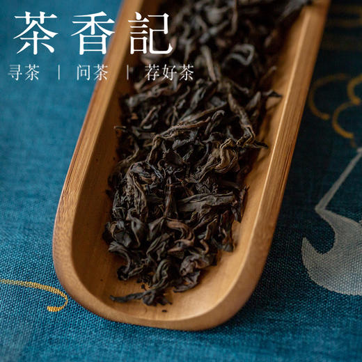 茶香记 瑞香201 武夷岩茶 小众品质 岩骨花香 岩韵 醇厚 香甜 花果香