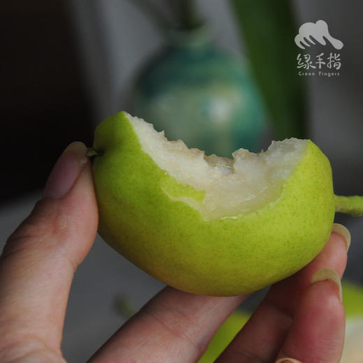 生态香梨 | 合作生产*Eco-Korla pear | Coproduction 商品图2
