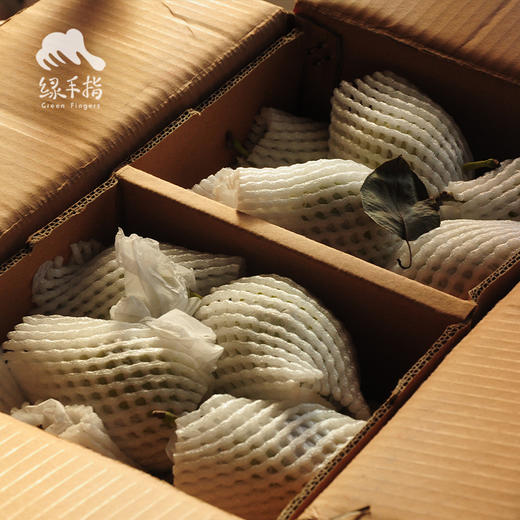 生态香梨 | 合作生产*Eco-Korla pear | Coproduction 商品图5