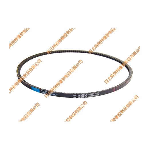 特别特10*950la英寸1375桑塔纳电机带/10x950la桑塔纳电机皮带（10950la） 商品图1