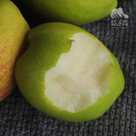 生态香梨 | 合作生产*Eco-Korla pear | Coproduction