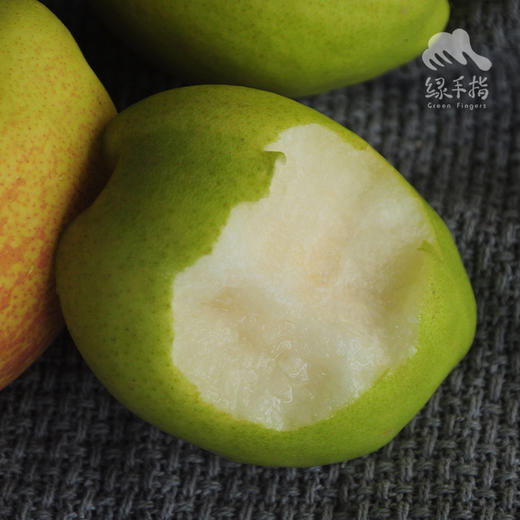 生态香梨 | 合作生产*Eco-Korla pear | Coproduction 商品图0