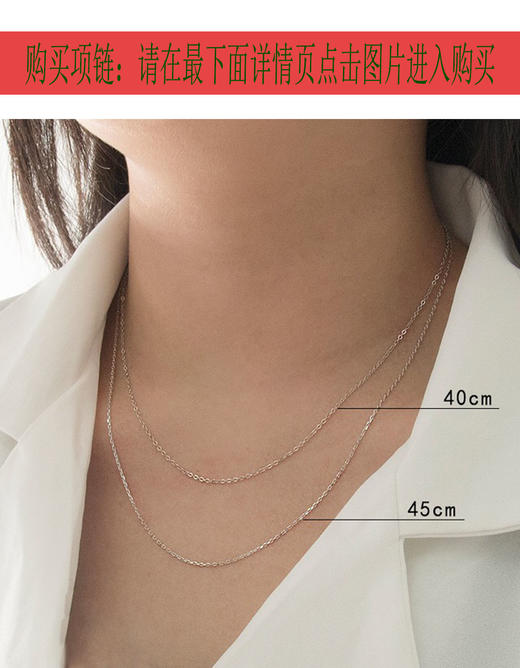 【特价清货！售完无】钉痕➕架 · 中间英文 · DS0084-灵语银 商品图3