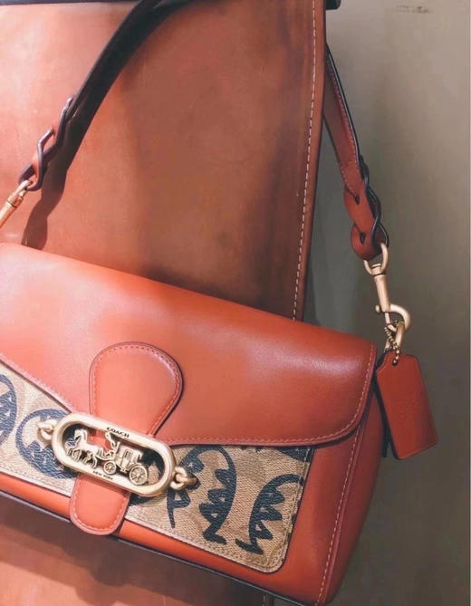 coach70插画家广煜合作限量款jade复古马车包2614cm