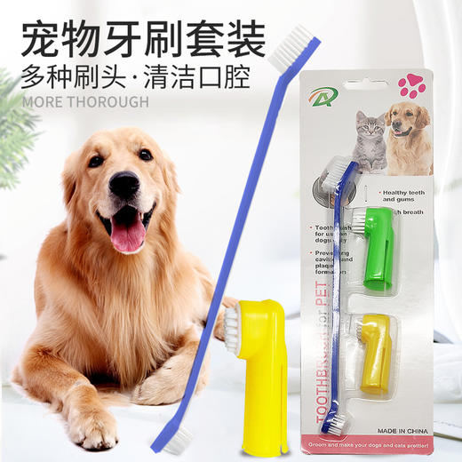 宠物牙刷套装  清洁口腔好帮手 商品图1