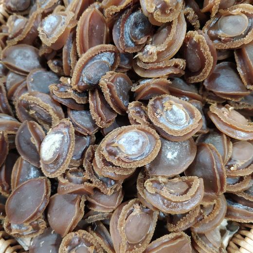 誉海干货 鲍鱼11522特价 商品图0