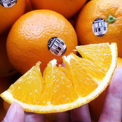 澳洲新奇士3107黑标甜橙 9个装 单果230-250g