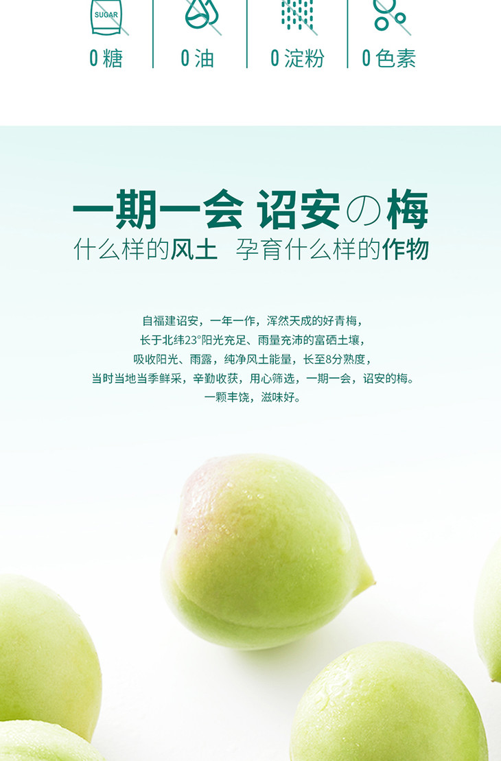 【87道工序 浓缩青梅精】梅花乡青梅精 103斤青梅提取1斤精华 提高新