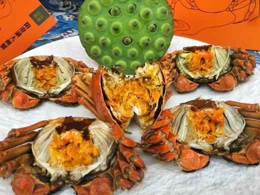 山水阳澄 阳澄湖大闸蟹（蟹卡 蟹）限时折扣5折起！ 商品图2