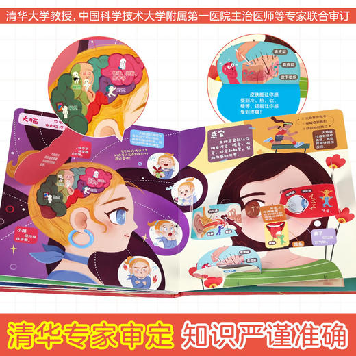 傲游猫-磁贴图解小百科（全4册） 商品图6