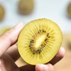 【四川好物】黄心猕猴桃  12枚/15枚/24枚/30枚 商品缩略图2