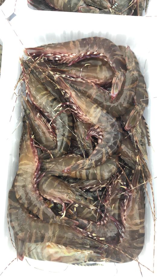 特大黑节虾 2盒 商品图1