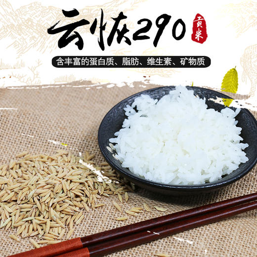 红河卧龙谷 贡米5.0kg/袋 商品图2