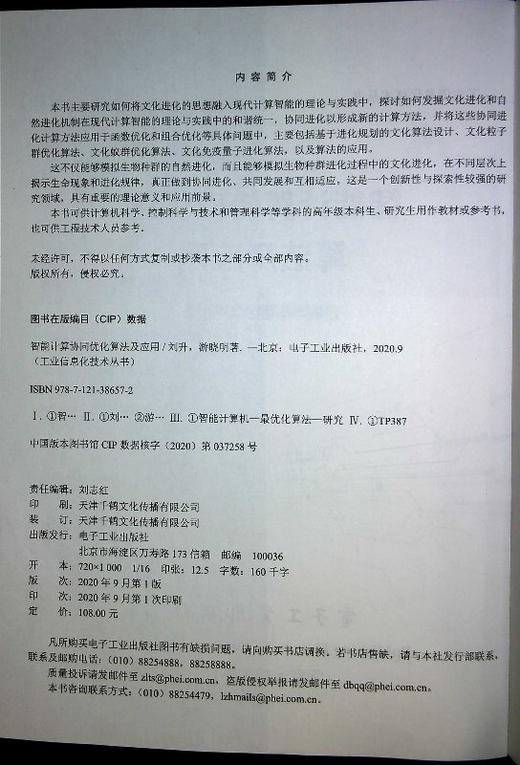 智能计算协同优化算法及应用 商品图1