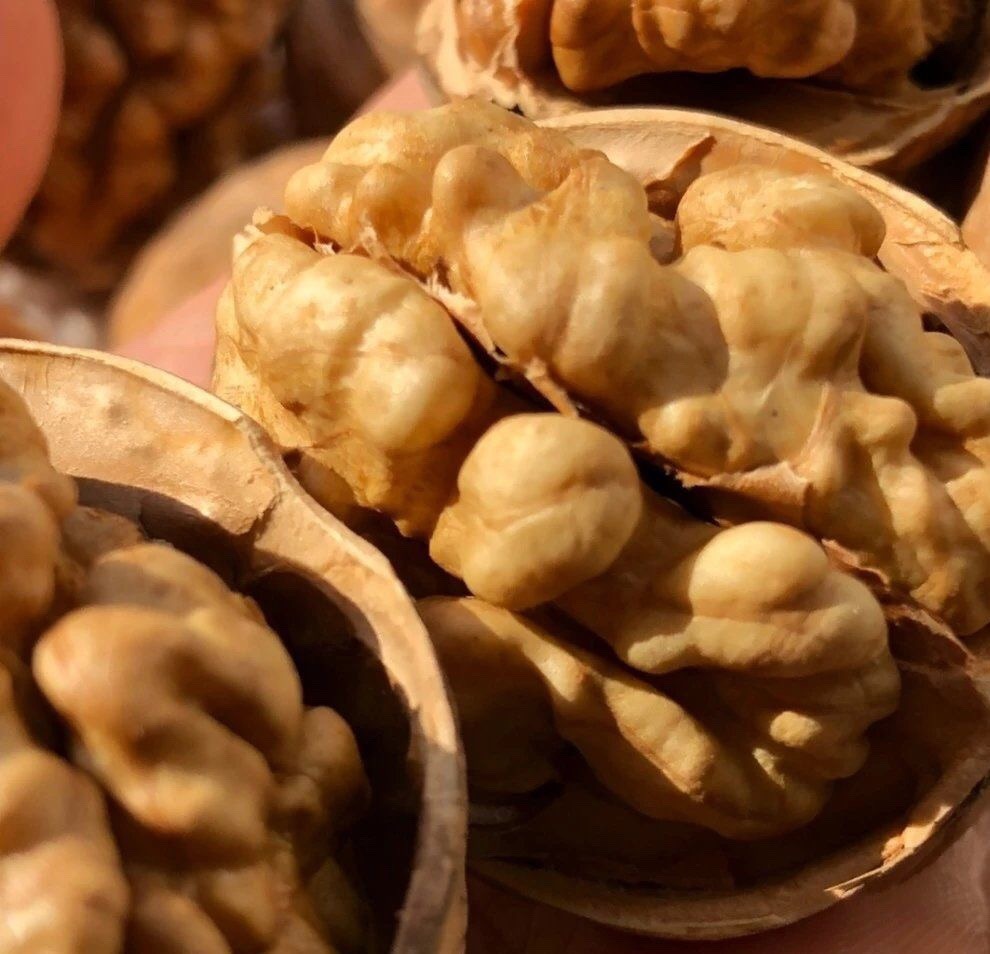 【新疆核桃2025新货】无水洗，原色未漂白，新疆纸皮核桃【干货】2斤&5斤装 皮薄如纸、易取整仁基地直邮