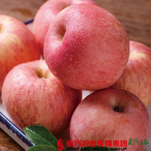 【全国包邮】沂蒙山红富士苹果 4.5-5斤/箱（72小时内发货） 商品图2
