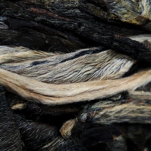 凰馨古茶【大漆树】普洱生茶700年古树纯料200g 商品图2