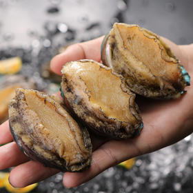 大鲍鱼肉 15-25个左右 2盒